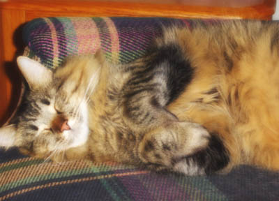 so cute, yet so cruel