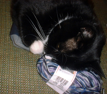 jezzebelle and pillow