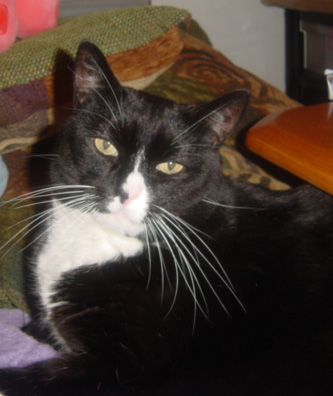 she wasn't smiling for the camera, either.