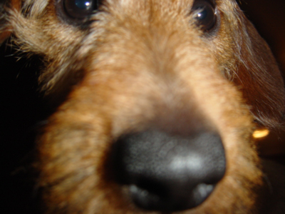 here comes randall, he's a berserker